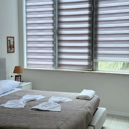 Kris * Golem (Tirana)